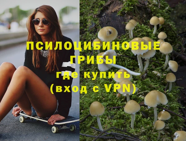 гидропоника Абинск