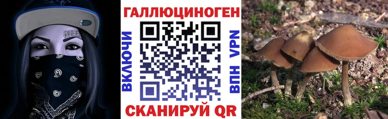 Галлюциногенные грибы Cubensis Елизаветинская